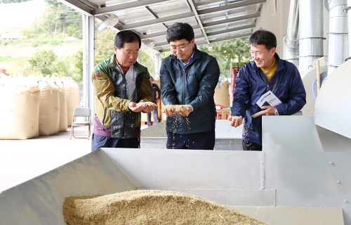 충남 2019년산 쌀 생산량, ‘72만톤 내외’ 전망